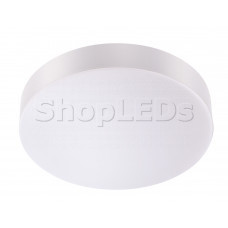 Светильник светодиодный Iris SLR-22-18WR (дневной белый 4000K)