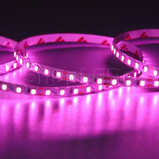 Светодиодная лента S-образная SL120-LT 12V (2835, 10 W/m, IP20) (розовый)