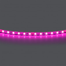 420512 Лента LIGHTSTAR LED 24V 12W 120leds/M 1600 LM/M pink IP20 1шт = 5м